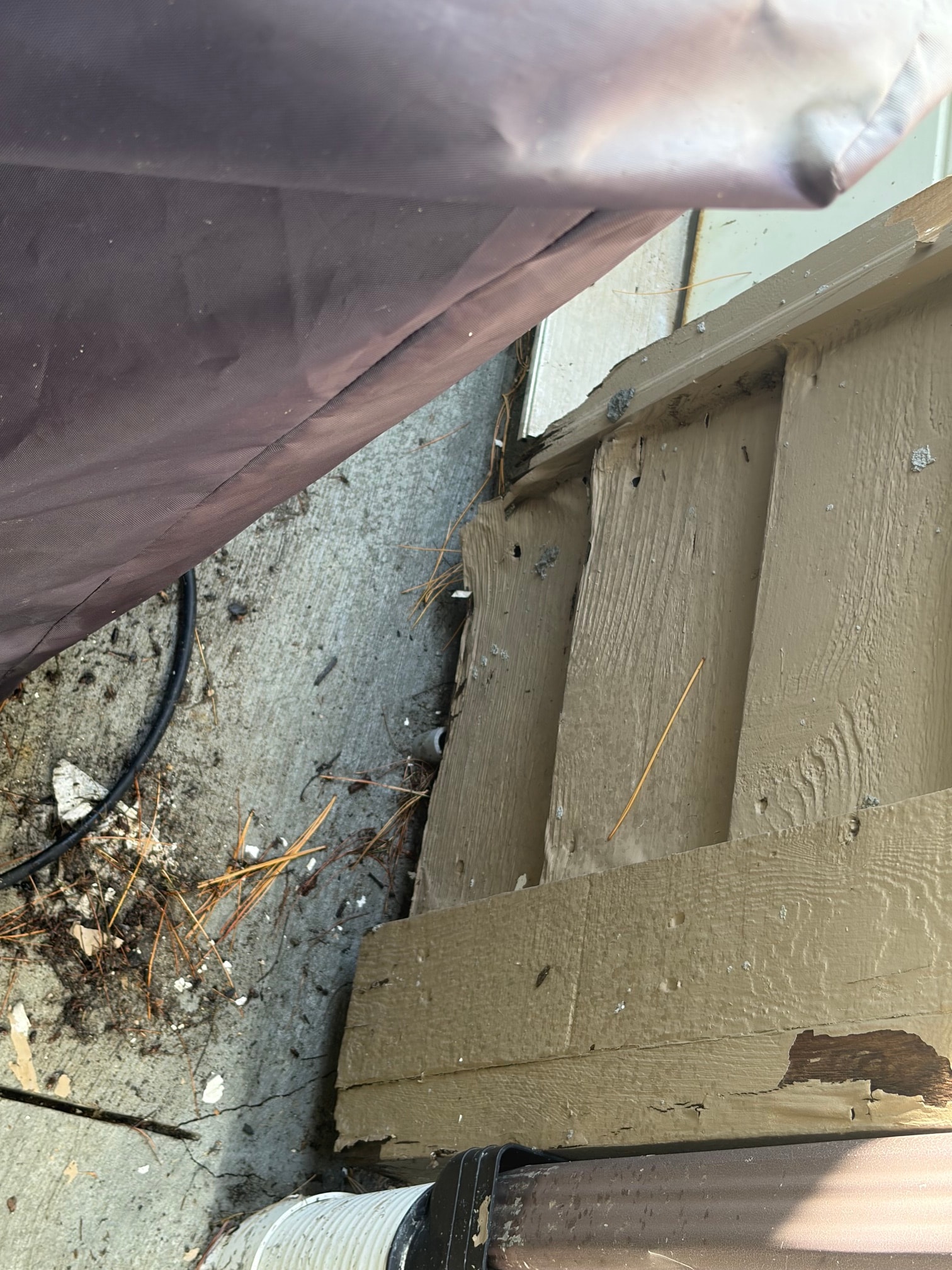 Damaged wood siding boards near a concrete patio